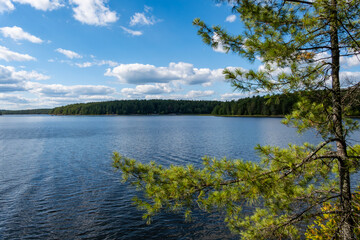 Beautiful View of French River, Blue Sky and White Clouds, and Evergreen Forest Along Its Rocky Shores