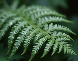 Close-up of vibrant green fern frond with intricate patterns, blurred dark background. Detailed view highlights delicate structure, natural beauty of plant foliage, perfect for botanical nature