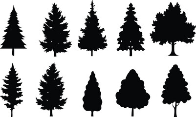 Silhouetted Tree Variety of Pine, Fir, and Deciduous Trees on White Background
