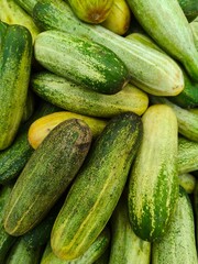 Close up shot of pile of fresh Cucumber open sell in Indian market.