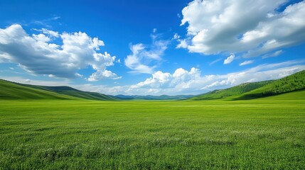 Fototapeta premium Vast green meadow under clear sky