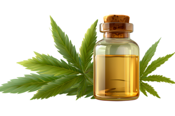 cannabis oil bottle and leaf isolated