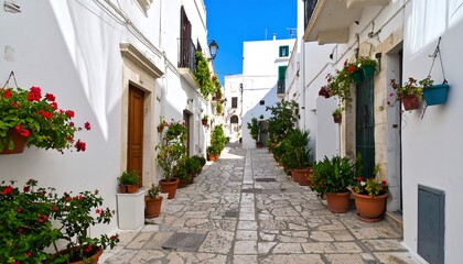 Fototapeta premium Picturesque whitewashed alleyway lined with flowers