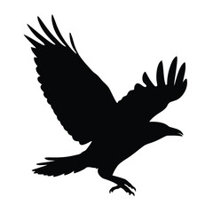 Fototapeta premium Black raven flying silhouette vector graphic design element for halloween and gothic themes art