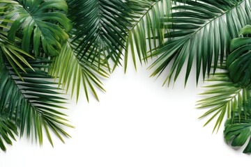 Tropical leaves frame on white