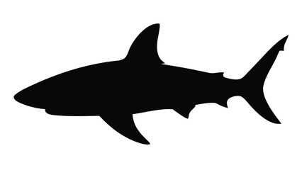 Shark silhouette vector graphic predatory sea creature ocean animal marine life underwater design danger predator