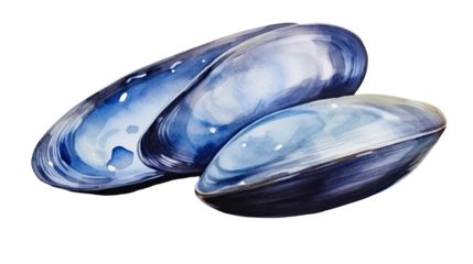 Blue mussel shells seafood watercolor painting illustration isolated on white background