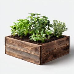 Wooden herb garden box with various fresh herbs