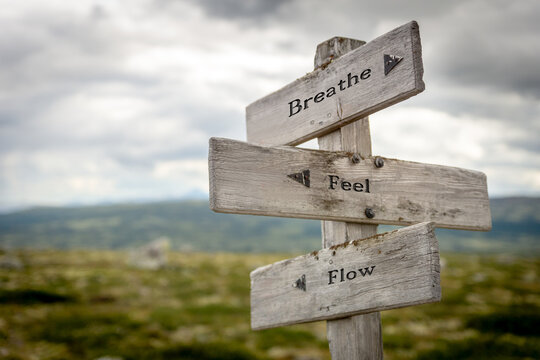 A wooden sign on a serene mountain landscape engraved with "Breathe Feel Flow". Soft sunlight illuminates rocky terrain and alpine greenery, evoking calm, mindfulness, and serenity. 