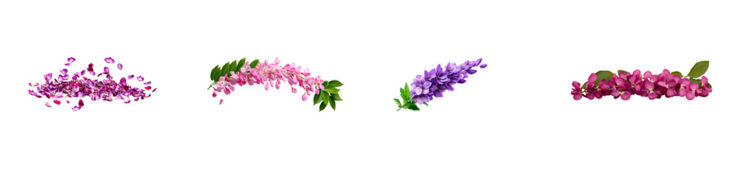 Obraz premium Four distinct clusters of flowers and petals isolated on a black, cut out