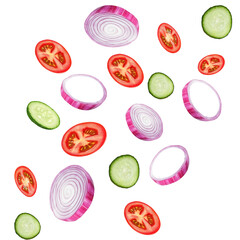 Red onion rings isolated. Pickled cucumber slices isolated. Falling chopped tomatoes isolated on white background with clipping path