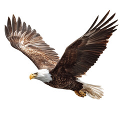 Fototapeta premium isolated bald eagle mid flight, wings fully extended, sharp beak detail, transparent background, stock PNG, textured grain