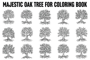 Decorative Oak Tree Coloring Book Pages
