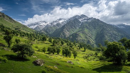 Fototapeta premium Lush valley with snow-capped mountains (1)