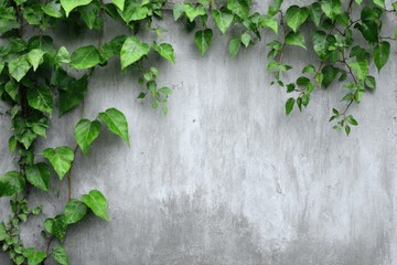 Greenery cascading down a textured concrete wall