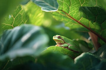 Green frog on vibrant leaves