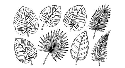 Collection of elegant tropical leaf outlines for creative design projects and natural decor