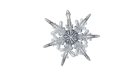A detailed clear snowflake with six points on a plain white background