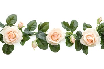 Naklejka premium A delicate floral arrangement featuring peach-colored roses with green leaves and buds, set against a clean white background, creating a romantic and elegant composition.