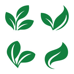 Four Green Leaf Icons on White Background nature plant 1