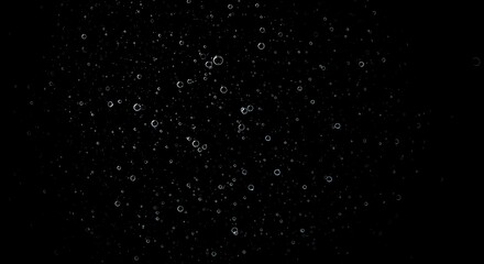 Water bubbles on black background