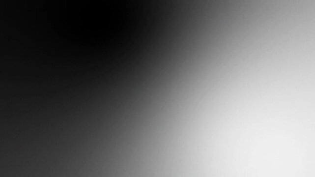 A grayscale gradient transitions from dark to light, creating a smooth, abstract visual effect.