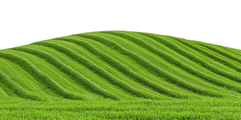 Lush Green Rolling Hills with Parallel Stripes of Cut Grass graphic design isolated on a transparent background