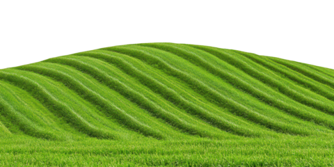 Lush Green Rolling Hills with Parallel Stripes of Cut Grass graphic design isolated on a transparent background