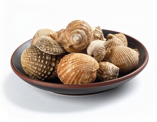 Variety of seashells resting on a dark ceramic plate