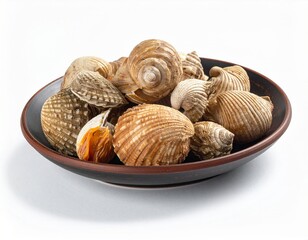 Fresh seafood displaying variety of seashells on rustic plate