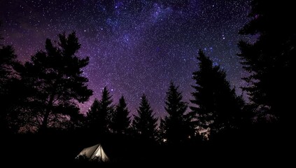 Naklejka premium Night sky above a forest with a tent