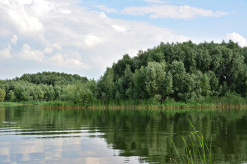 Serene Lake with Lush Green Trees and Cloudy Sky nature landscape