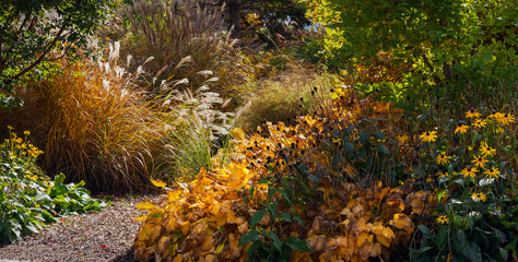 Obraz premium Beautiful garden in autumn in a golden sun light