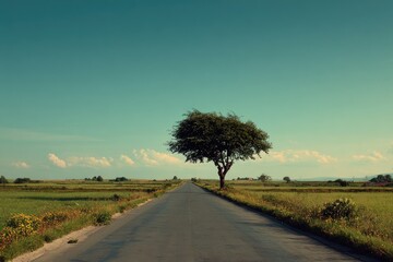 Fototapeta premium Empty road through fields under a vast sky