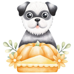 Fototapeta premium Pets At Thanksgiving Dinner Concept. A cute dog sits in front of a pumpkin pie surrounded by flowers and leaves.