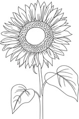 Elegant Sunflower Illustration A Beautiful Black and White Line Art Depiction of a Sunflower Plant with Detailed Petals and Leaves
