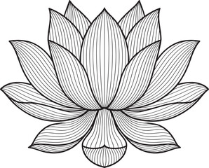 Fototapeta premium Detailed Line Art Depiction of a Lotus Flower an Elegant Floral Design with Intricate Petal Patterns and a Clean Black and White Aesthetic