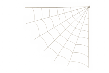 Spider web corner on transparent background for halloween decoration