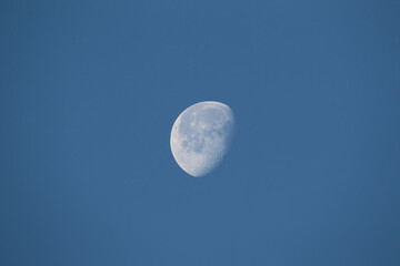 The evening moon is photographed in blue tones