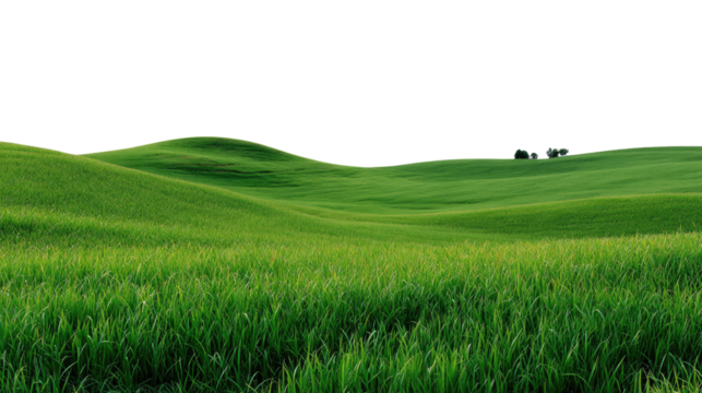 Green Rolling Hills: A breathtaking panorama of vibrant green rolling hills, under a bright, expansive sky. Evokes a sense of tranquility and the vastness of the natural world.