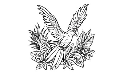 Fototapeta premium Macaw Kids t shirt design silhouette and vector line art, Detailed High-Quality Line Art, Suitable for Adult Coloring Books, Stress Relief, Relaxation, and Printable Art Therapy Projects.