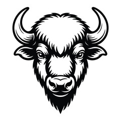 head of bull