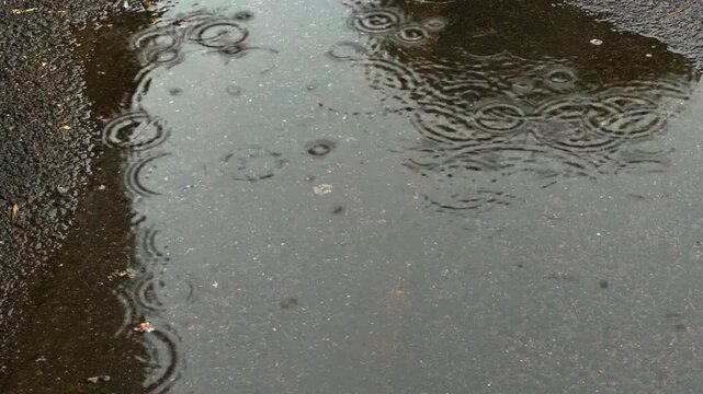 Raindrop ripples on a puddle of water on dark asphalt or pavement during a rainy day or wet season. Bad rain weather forecast.