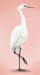 Obraz premium Elegant white heron stands poised against a soft pink backdrop, showcasing detailed plumage and long, slender legs.
