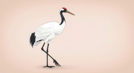 Obraz premium A detailed illustration of a red-crowned crane, showcasing its graceful posture and elegant features.