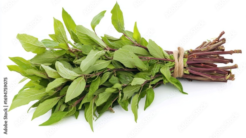 Poster a bundle of fresh green basil leaves tied with a string, placed on a white background with a soft sh