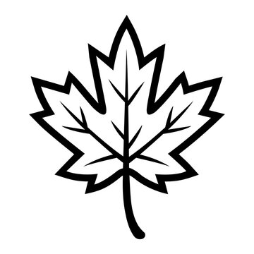 Maple Leaf Vector | Black and White Canada Leaf Silhouette Logo Design