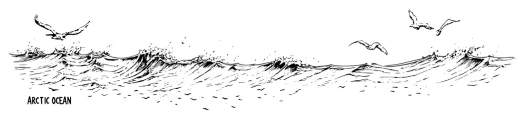 arctic ocean waves with seagulls – monochrome outline vector illustration © Kaz