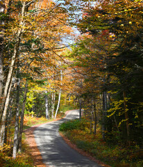 Autumn on the Jefferson Notch Road in New Hampshire