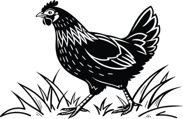 Monochrome Chicken Illustration of a Single Hen Standing Amongst Grass Tufts